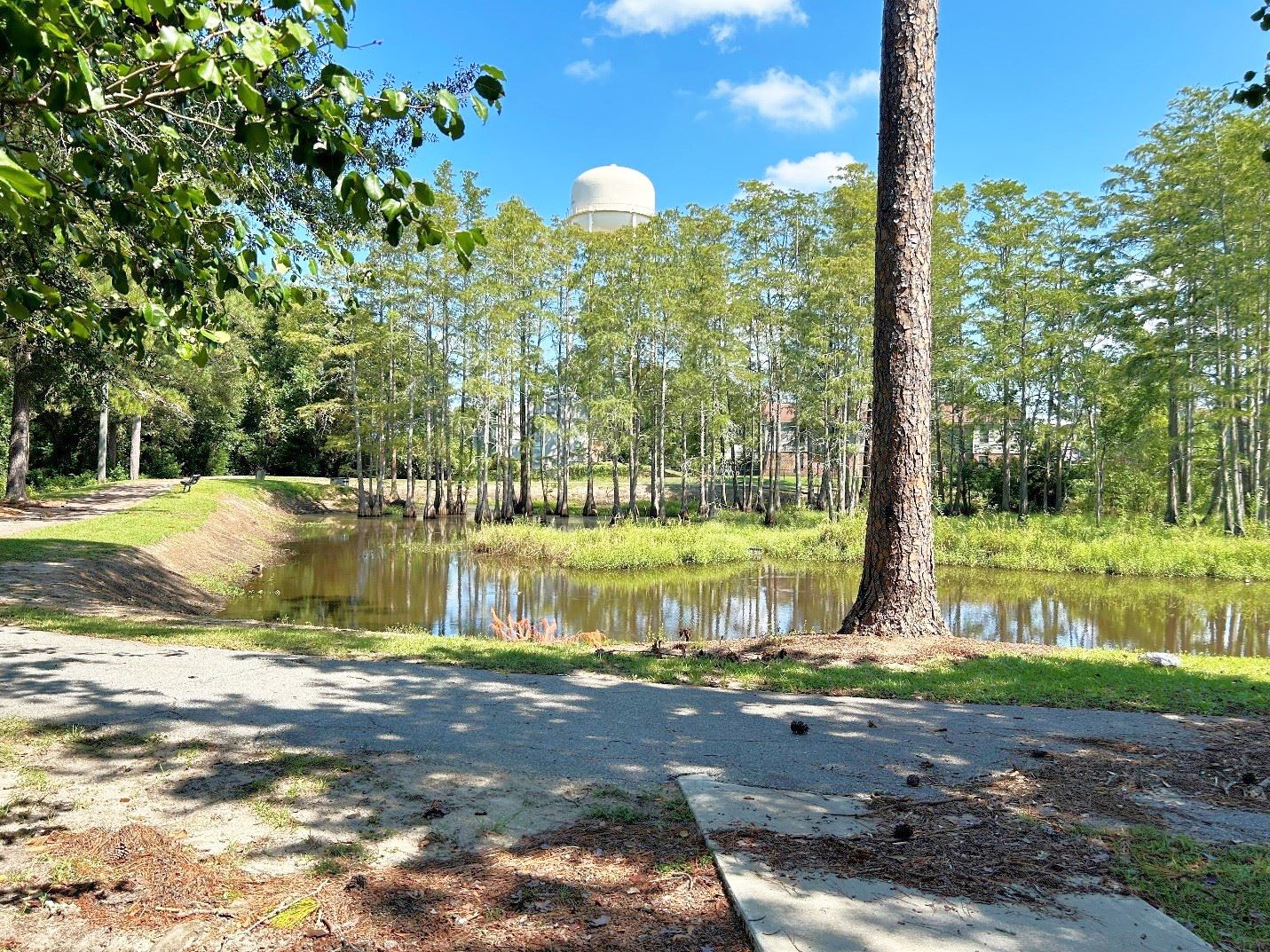 Image of the N Madison Ave Park walking Trail