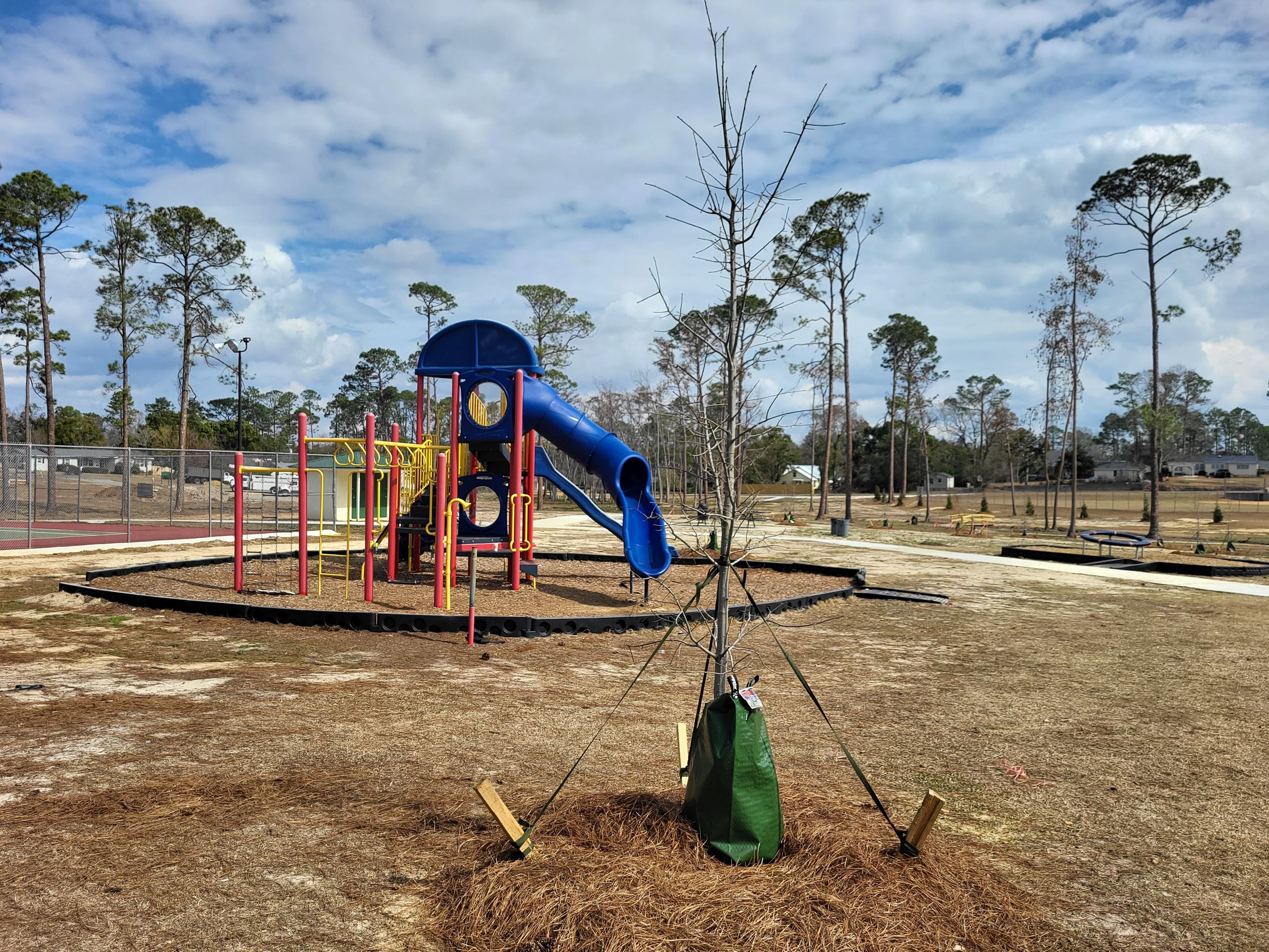 Wheeler Park 2-19-2026 (15)