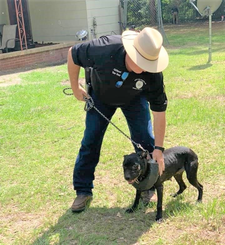 Photo of Animal Control Officer with abused dog