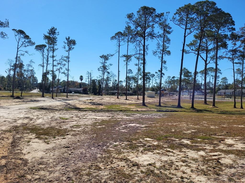 Wheeler Park 11-14-2025 (6)